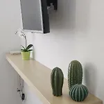 Kotiko 18